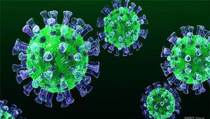 新型冠状病毒（2019-nCoV）抗原抗体